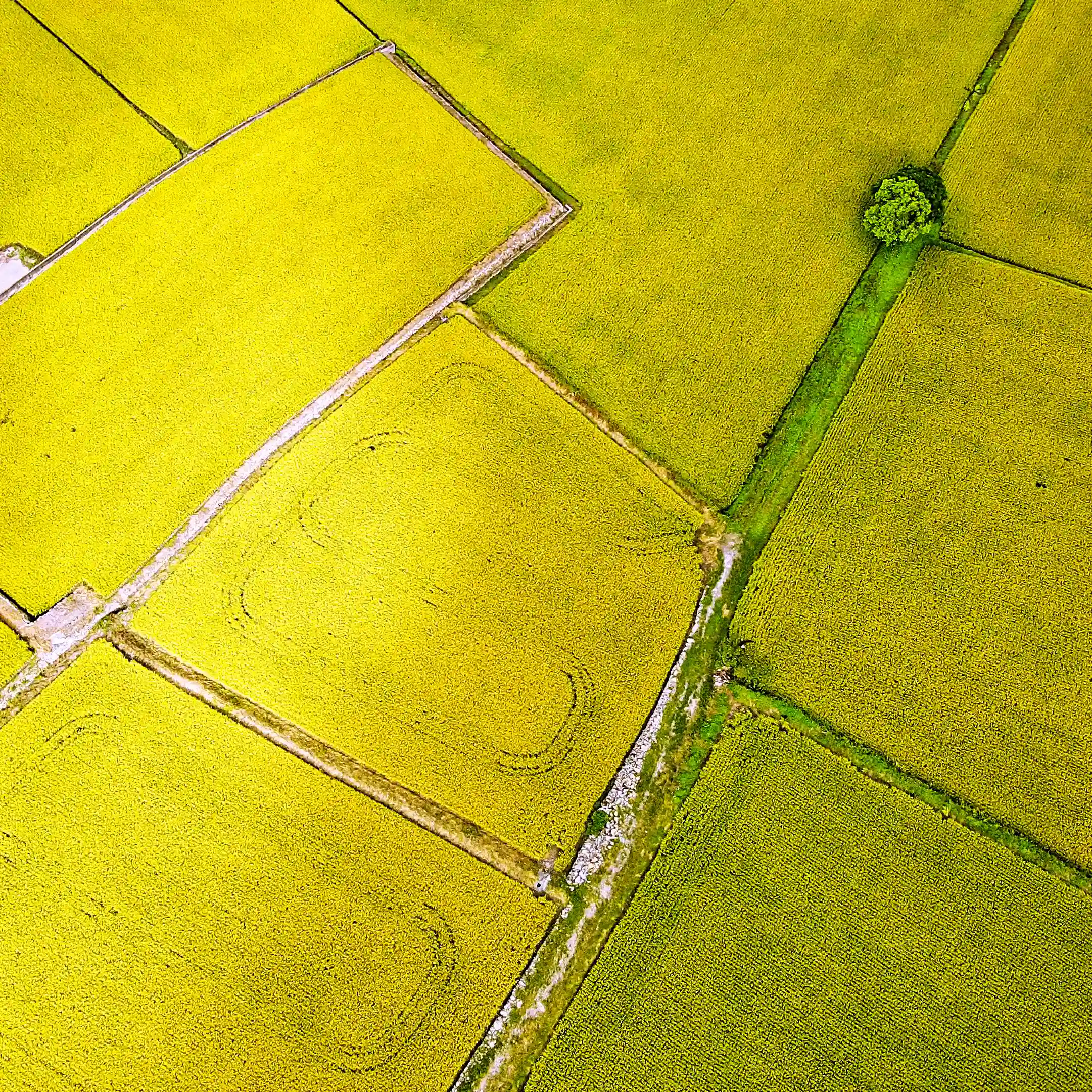 Test modifica articolo sitemap altro test